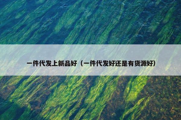 一件代发上新品好（一件代发好还是有货源好）