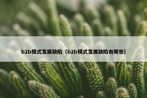 b2b模式发展缺陷（b2b模式发展缺陷有哪些）