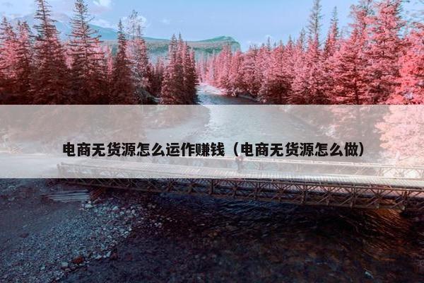 电商无货源怎么运作赚钱（电商无货源怎么做）