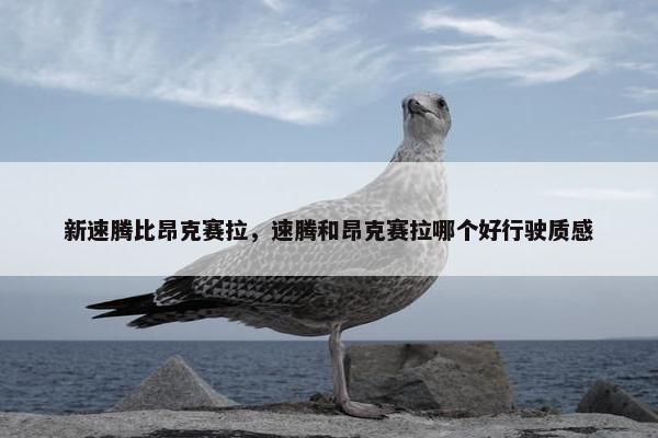 新速腾比昂克赛拉，速腾和昂克赛拉哪个好行驶质感