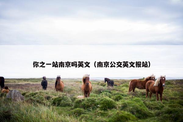 你之一站南京吗英文（南京公交英文报站）