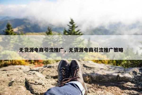 无货源电商引流推广，无货源电商引流推广策略
