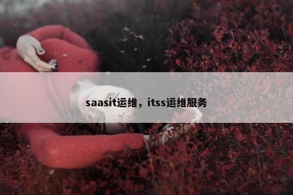 saasit运维，itss运维服务