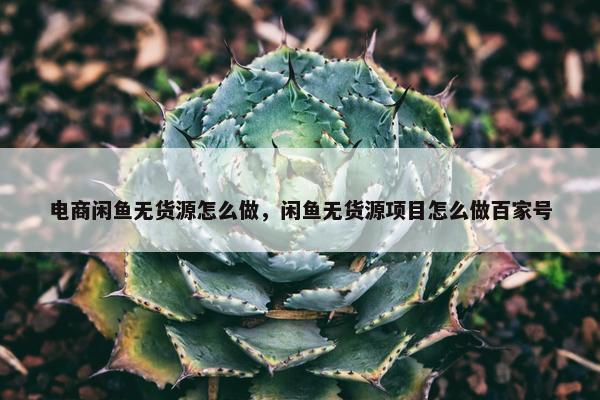 电商闲鱼无货源怎么做，闲鱼无货源项目怎么做百家号