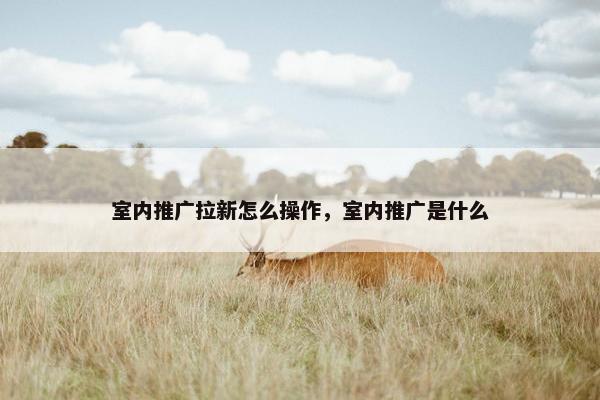 室内推广拉新怎么操作，室内推广是什么