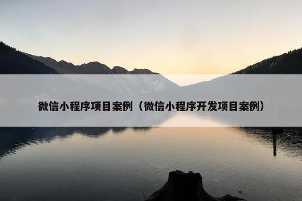 微信小程序项目案例（微信小程序开发项目案例）