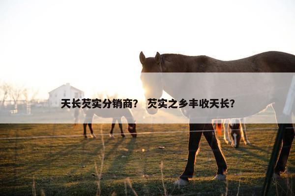 天长芡实分销商？ 芡实之乡丰收天长？