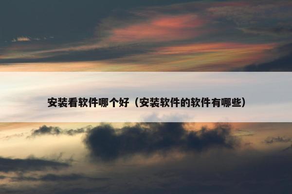 安装看软件哪个好（安装软件的软件有哪些）