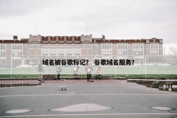 域名被谷歌标记？ 谷歌域名服务？
