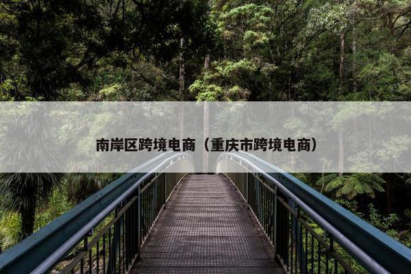 南岸区跨境电商（重庆市跨境电商）