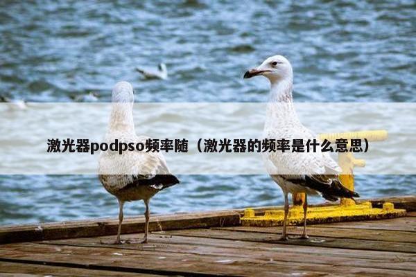 激光器podpso频率随（激光器的频率是什么意思）