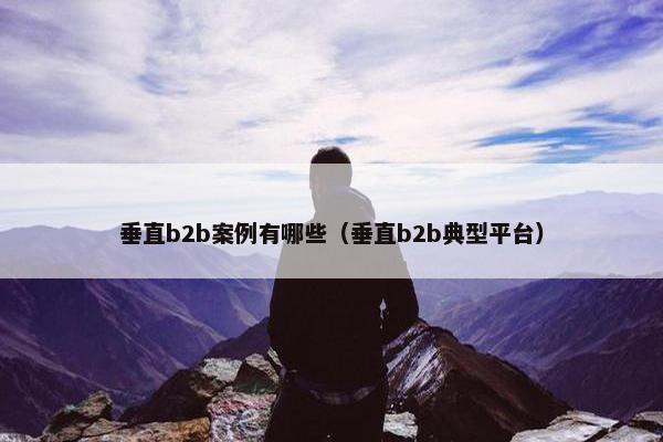 垂直b2b案例有哪些（垂直b2b典型平台）