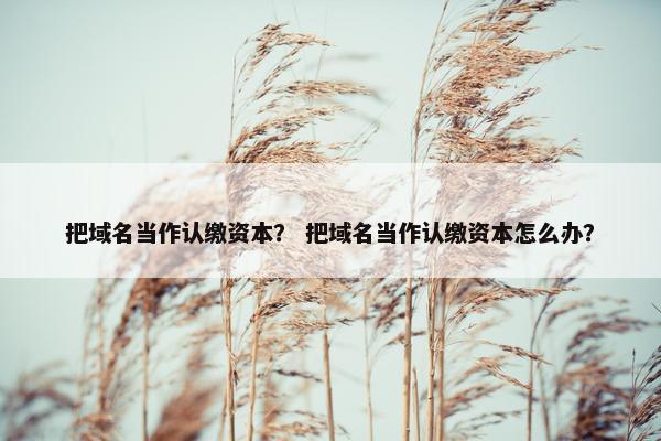 把域名当作认缴资本？ 把域名当作认缴资本怎么办？
