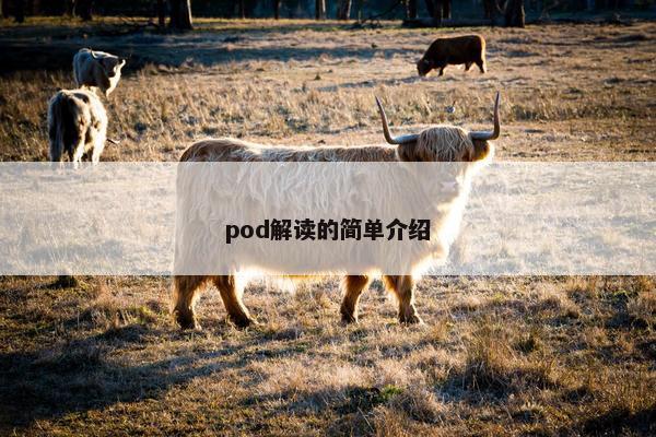 pod解读的简单介绍