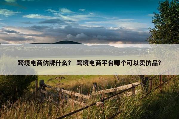 跨境电商仿牌什么？ 跨境电商平台哪个可以卖仿品？
