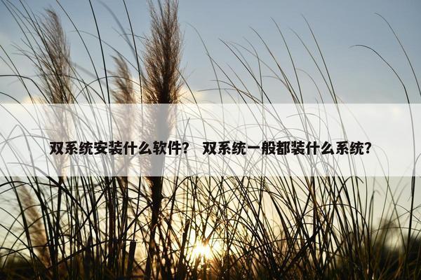 双系统安装什么软件？ 双系统一般都装什么系统？