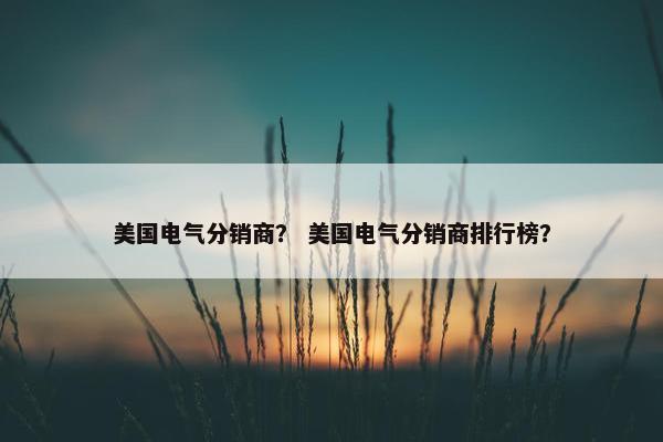 美国电气分销商？ 美国电气分销商排行榜？