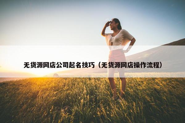 无货源网店公司起名技巧（无货源网店操作流程）