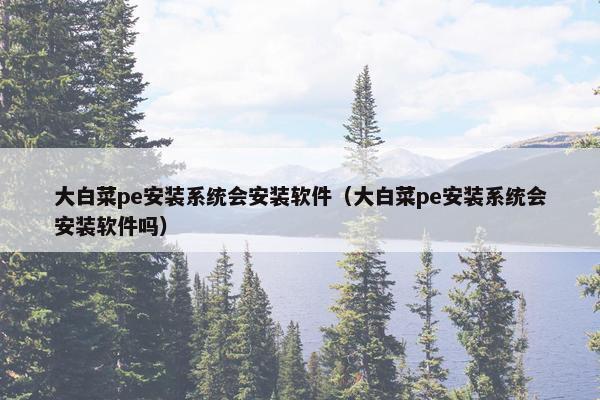 大白菜pe安装系统会安装软件（大白菜pe安装系统会安装软件吗）