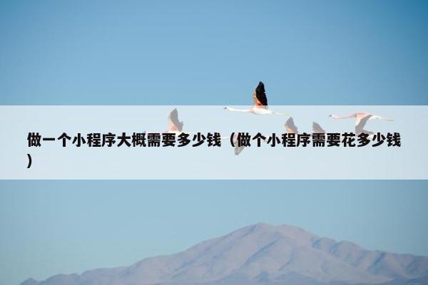 做一个小程序大概需要多少钱（做个小程序需要花多少钱）