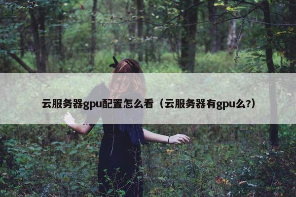 云服务器gpu配置怎么看（云服务器有gpu么?）