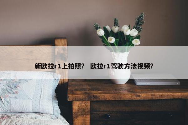 新欧拉r1上拍照？ 欧拉r1驾驶方法视频？