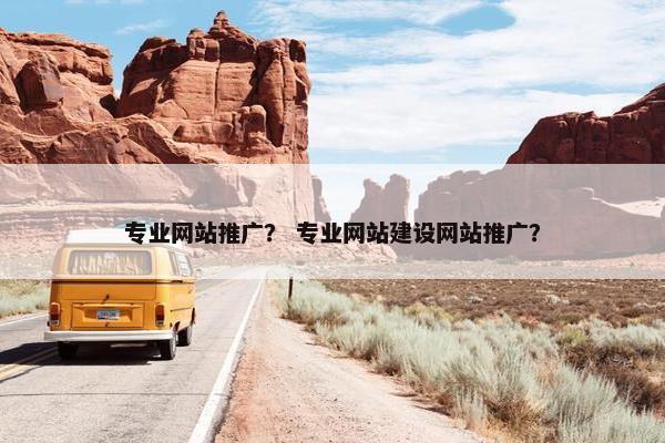 专业网站推广？ 专业网站建设网站推广？