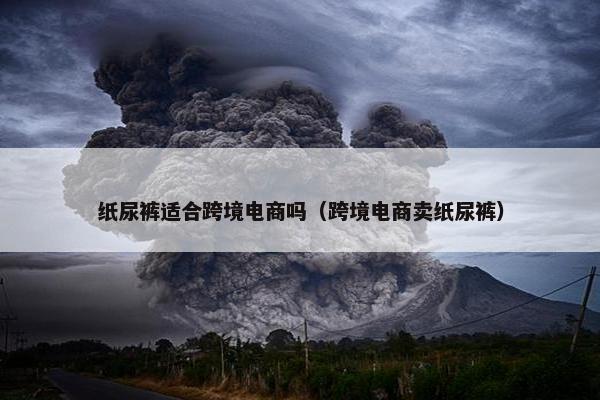 纸尿裤适合跨境电商吗（跨境电商卖纸尿裤）