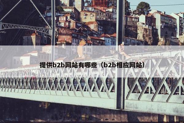 提供b2b网站有哪些（b2b相应网站）