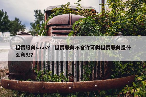 租赁服务saas？ 租赁服务不含许可类租赁服务是什么意思？