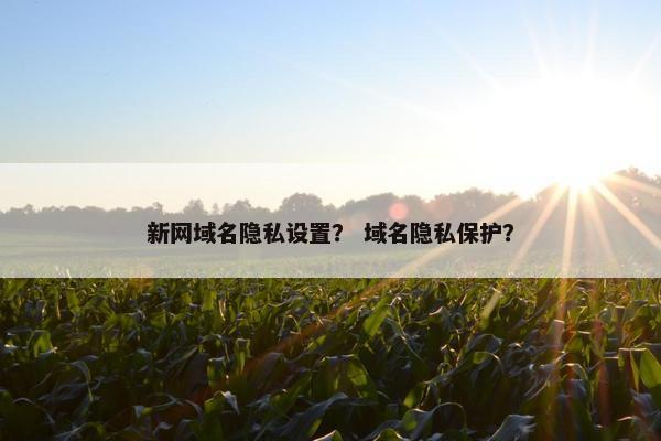 新网域名隐私设置？ 域名隐私保护？