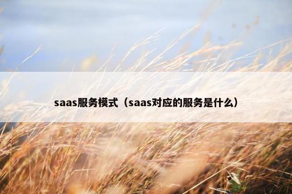 saas服务模式（saas对应的服务是什么）