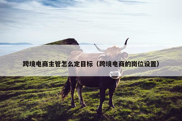 跨境电商主管怎么定目标（跨境电商的岗位设置）