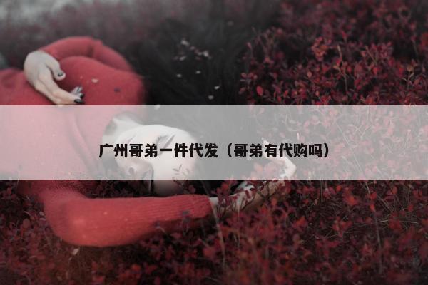广州哥弟一件代发（哥弟有代购吗）