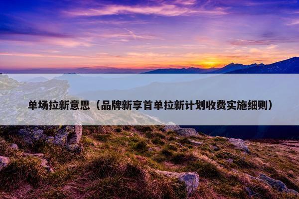 单场拉新意思（品牌新享首单拉新计划收费实施细则）
