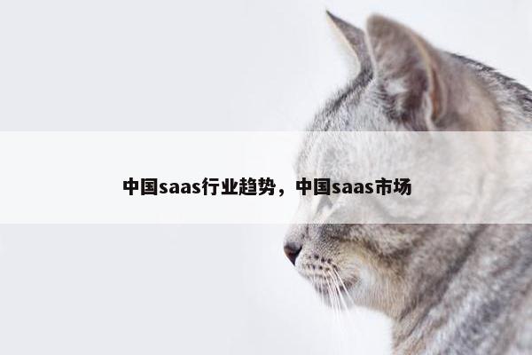 中国saas行业趋势，中国saas市场