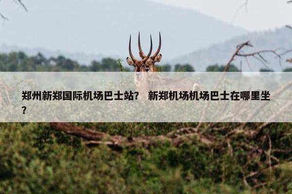 郑州新郑国际机场巴士站？ 新郑机场机场巴士在哪里坐？