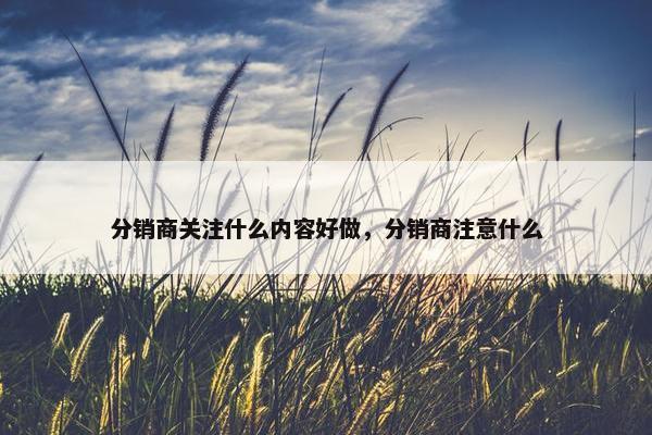 分销商关注什么内容好做，分销商注意什么