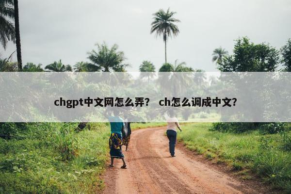 chgpt中文网怎么弄？ ch怎么调成中文？