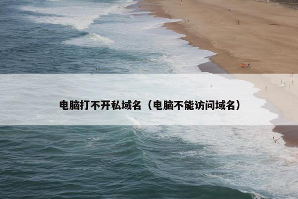 电脑打不开私域名（电脑不能访问域名）