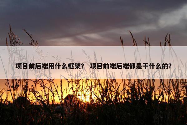 项目前后端用什么框架？ 项目前端后端都是干什么的？