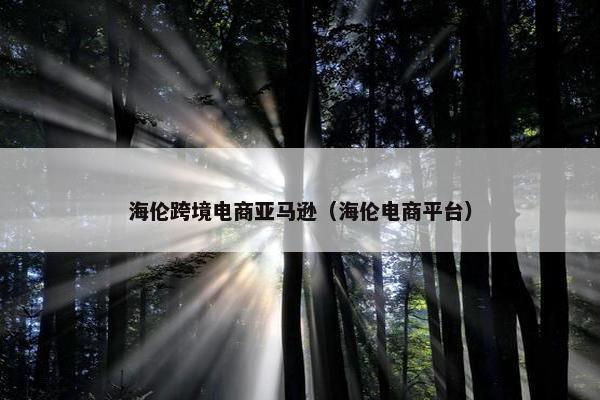 海伦跨境电商亚马逊（海伦电商平台）