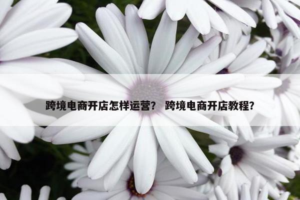 跨境电商开店怎样运营？ 跨境电商开店教程？