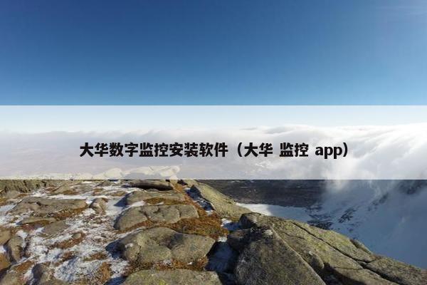 大华数字监控安装软件（大华 监控 app）