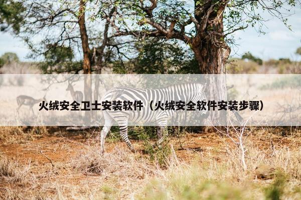 火绒安全卫士安装软件（火绒安全软件安装步骤）