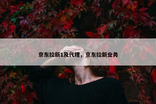 京东拉新1及代理，京东拉新业务