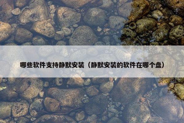 哪些软件支持静默安装（静默安装的软件在哪个盘）
