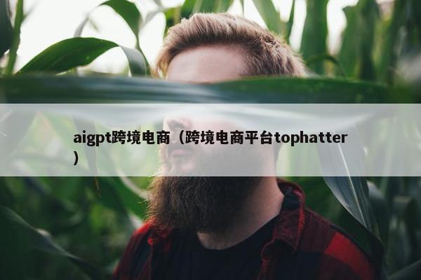 aigpt跨境电商（跨境电商平台tophatter）