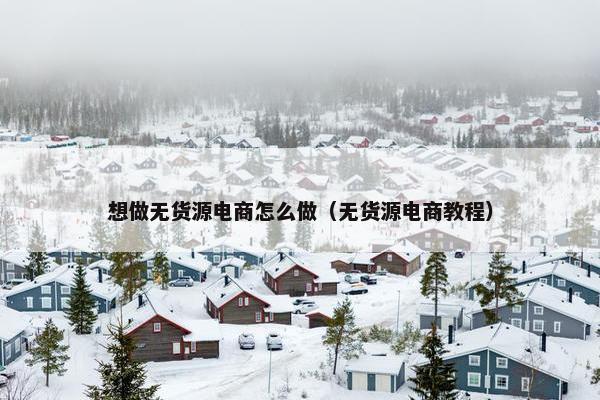 想做无货源电商怎么做（无货源电商教程）