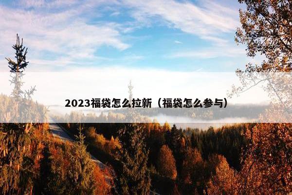 2023福袋怎么拉新（福袋怎么参与）